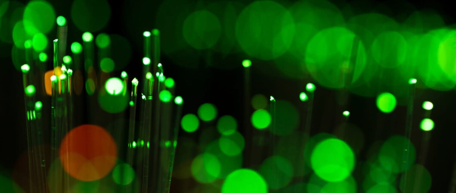 WhatsApp Image 2024-07-16 at 20.35.56